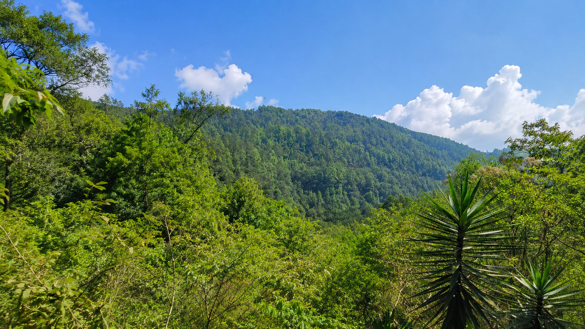 Mountain landscape on the future Mayita’s Café property in Jesús de Otoro, Honduras